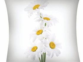 Декоративные наволочки Garden Букет ромашек